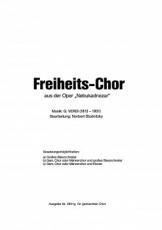 Freiheitschor aus Nabucco