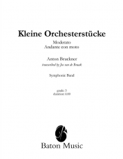 Kleine Orchesterstücke