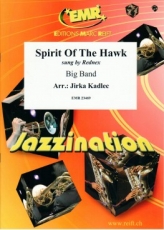 Spirit Of The Hawk