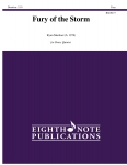 Fury of the Storm